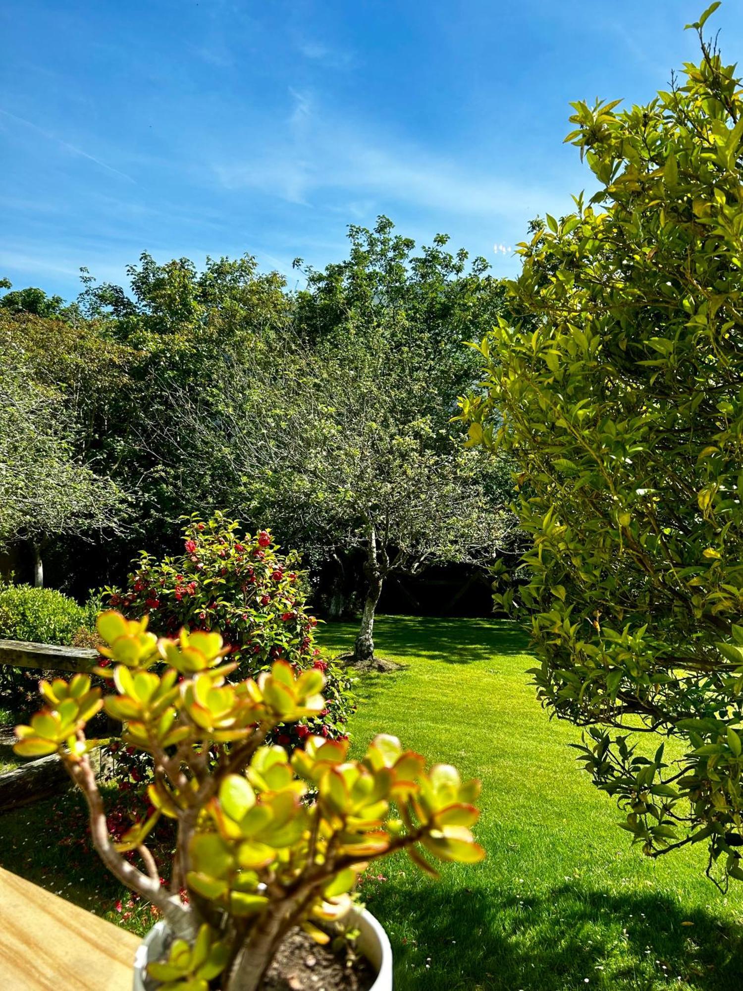 Apartamentos Rurales L'Arquera Llanes Buitenkant foto
